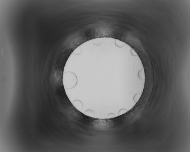 X0000085080672200703051109