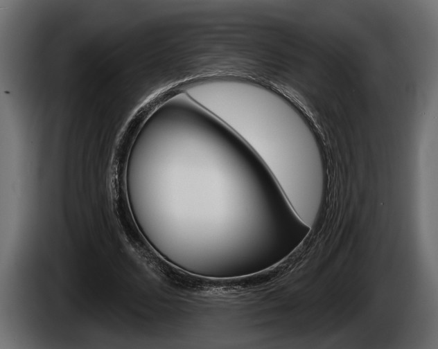 X0000085080680200703051109