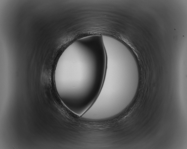 X0000085080681200703051109