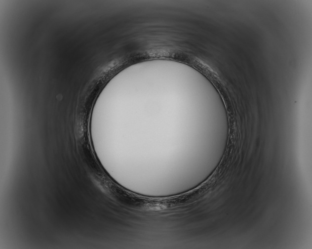 X0000085080687200703051109