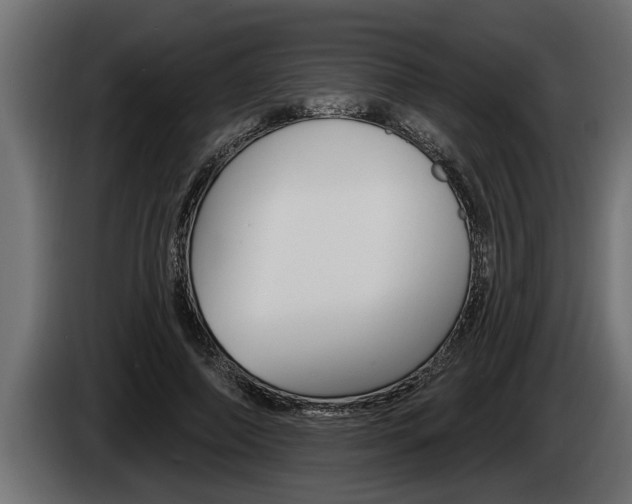 X0000085080690200703051109