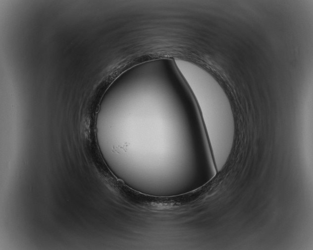 X0000085080693200703051109