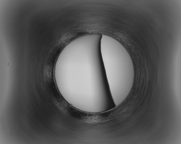 X0000085080695200703051109