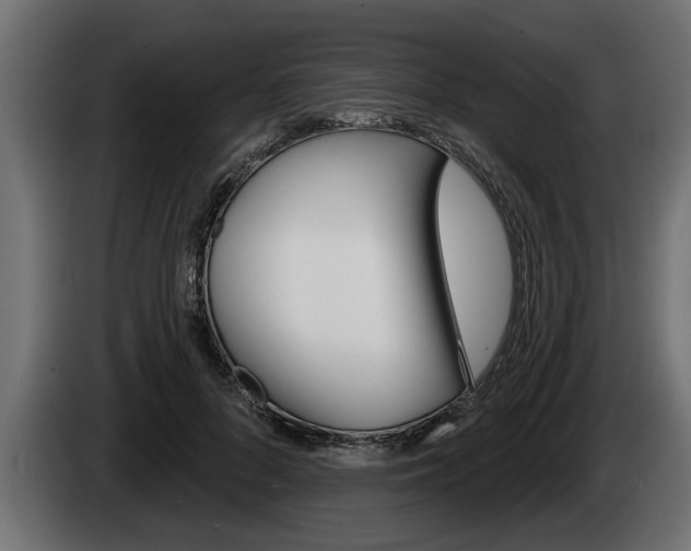 X0000085080696200703051109