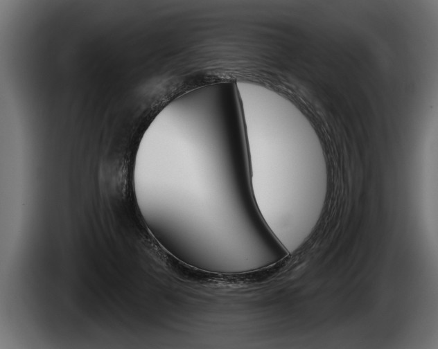 X0000085080697200703051109