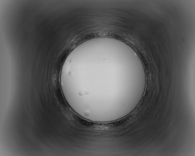 X0000085080698200703051109