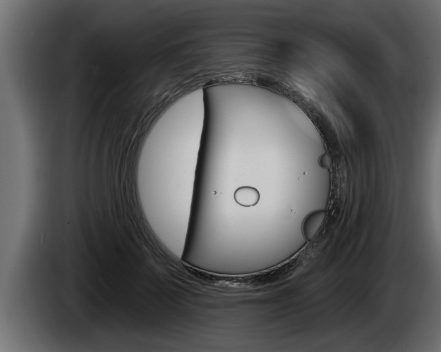 X0000085080699200703051109
