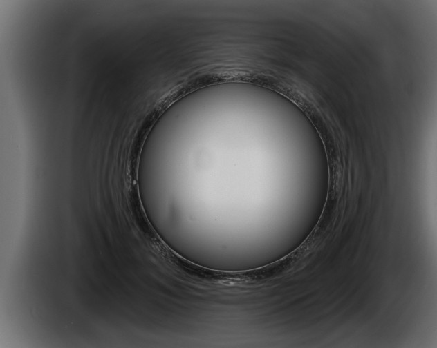 X0000085080700200703051108