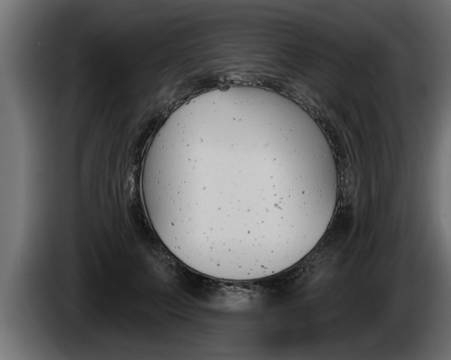 X0000085080703200703051108