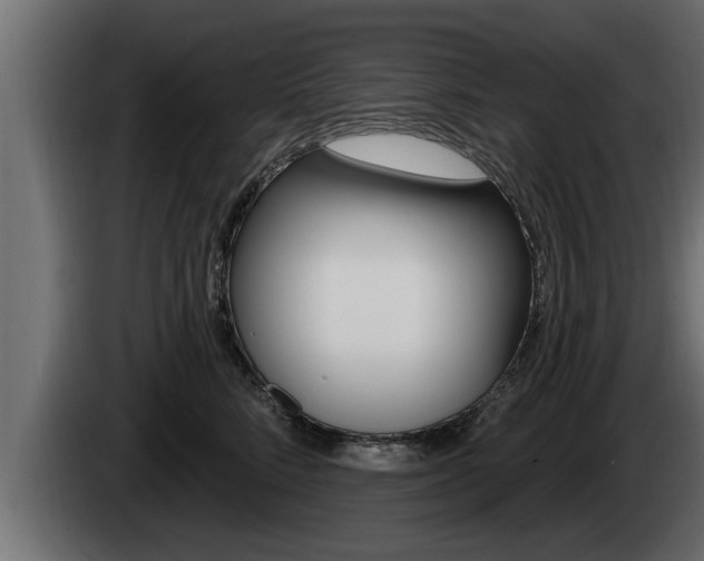 X0000085080712200703051108