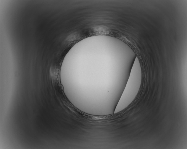 X0000085080713200703051108