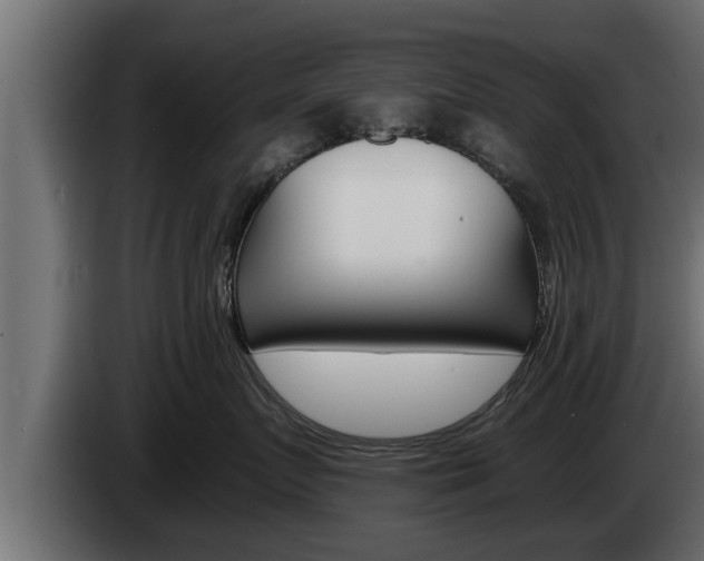 X0000085080719200703051108