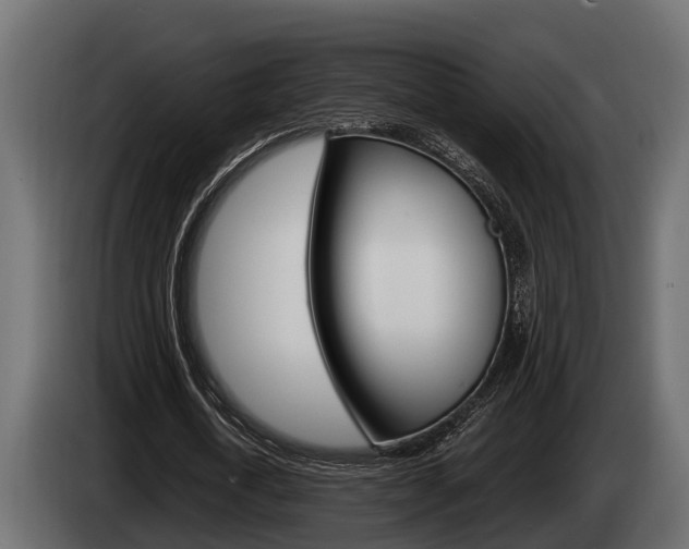 X0000085080722200703051108