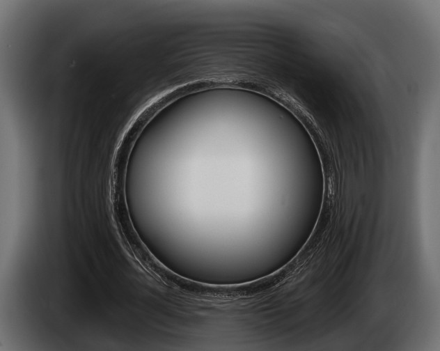 X0000085080724200703051108