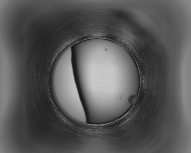 X0000085080725200703051108