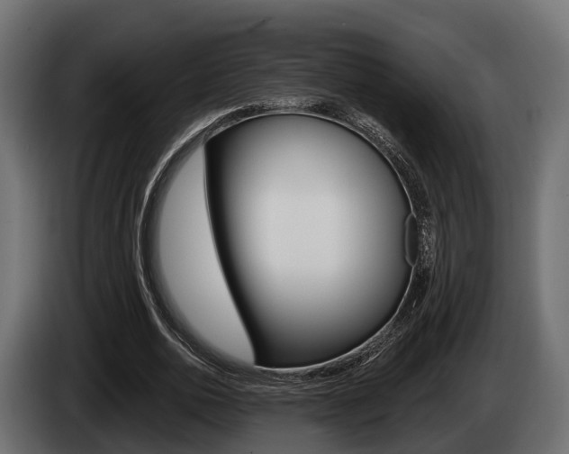 X0000085080726200703051108