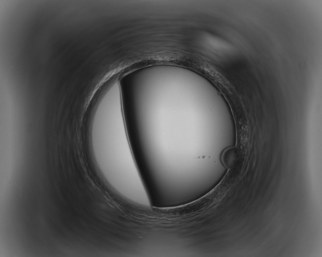 X0000085080727200703051108