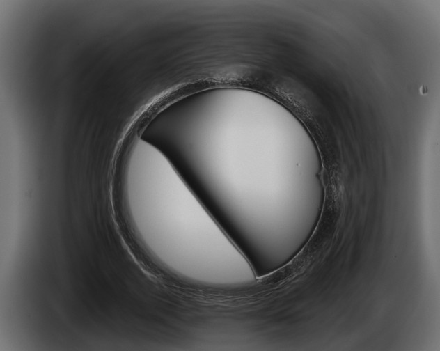 X0000085080728200703051108