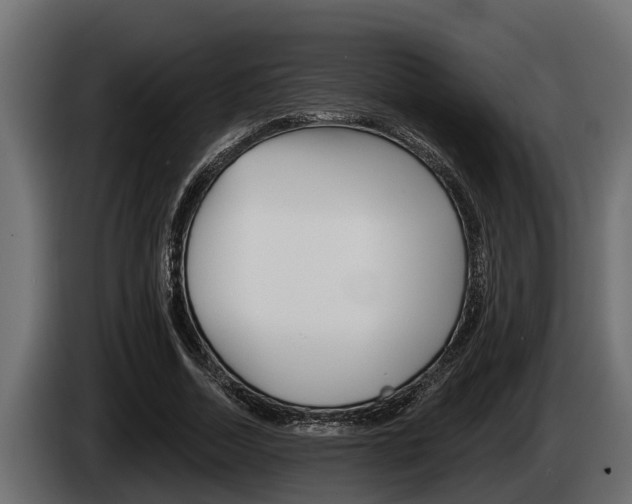 X0000085080730200703051108