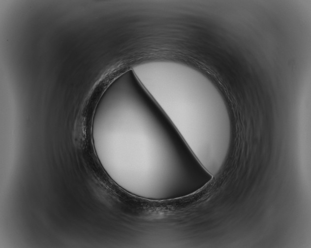 X0000085080731200703051108