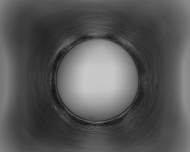 X0000085080735200703051108