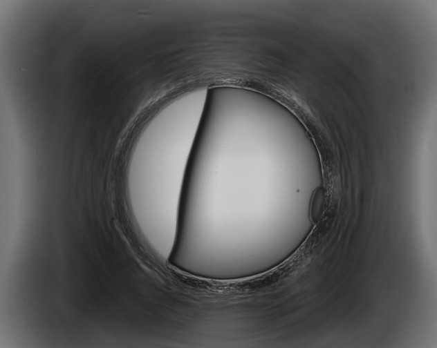 X0000085080736200703051108