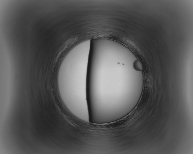 X0000085080738200703051108