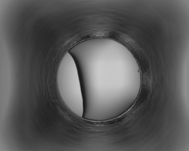 X0000085080741200703051108