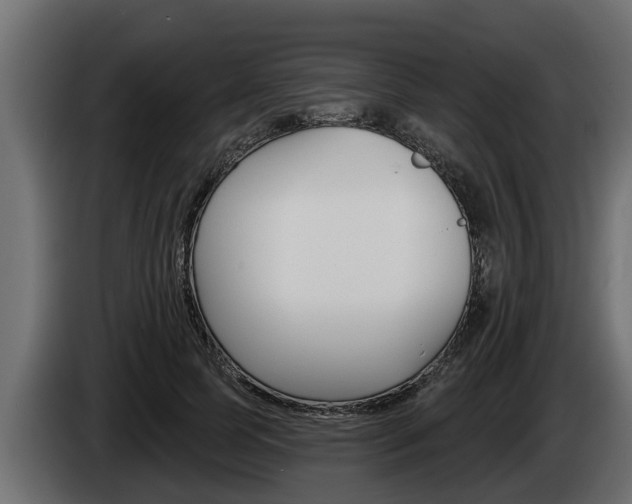 X0000085080745200703051108