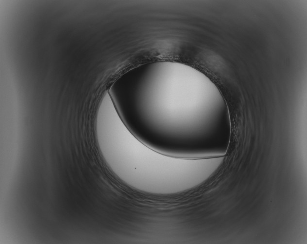 X0000085080748200703051108