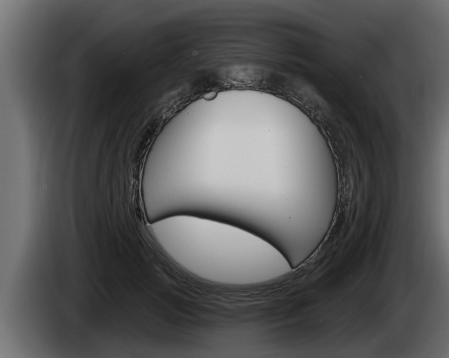 X0000085080749200703051108