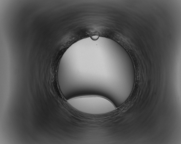 X0000085080751200703051108