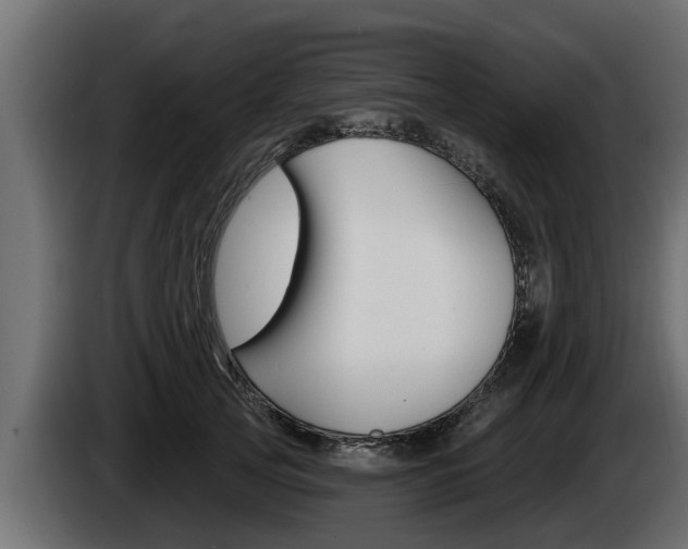 X0000085080753200703051108