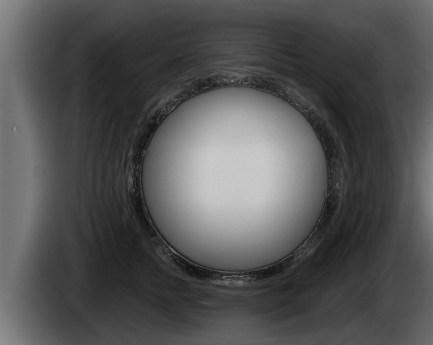 X0000085080758200703051108