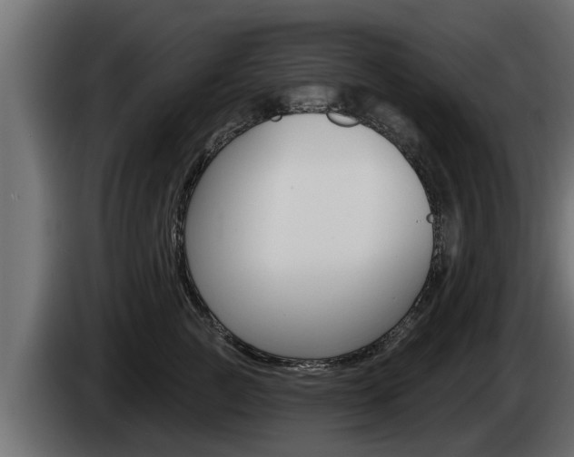 X0000085080761200703051108