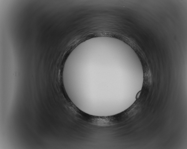X0000085080765200703051108