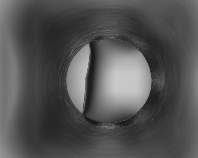 X0000085080767200703051108
