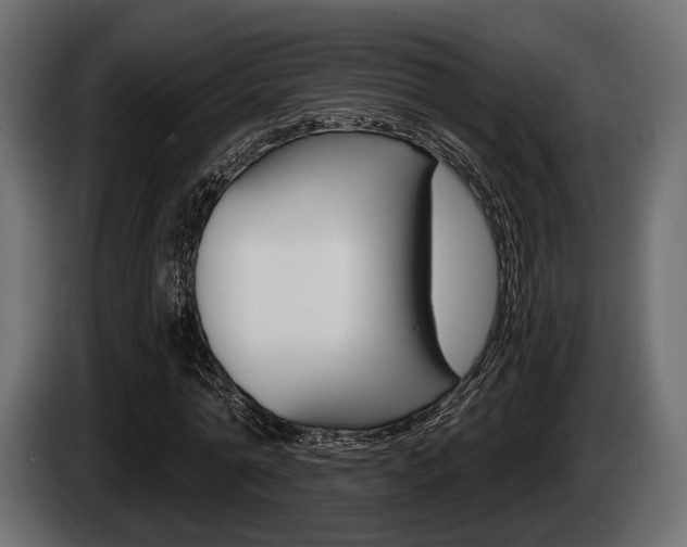 X0000085080774200703051108