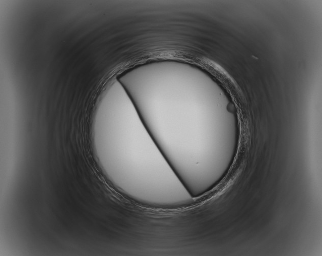 X0000085080777200703051108