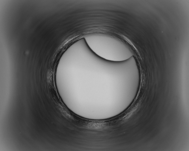 X0000085080778200703051107