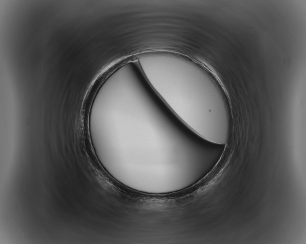 X0000085080779200703051107