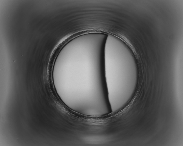 X0000085080780200703051107