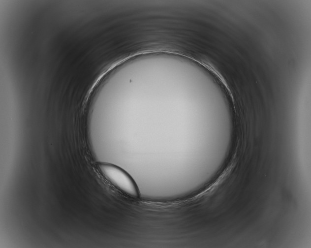 X0000085080781200703051107