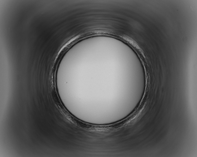 X0000085080782200703051107
