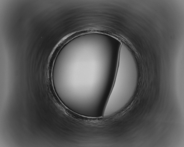 X0000085080784200703051107