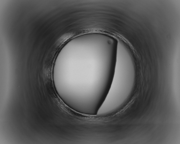 X0000085080785200703051107