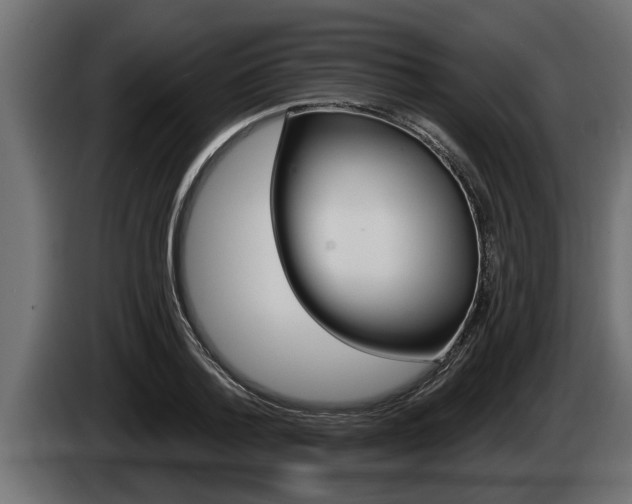 X0000085080788200703051107