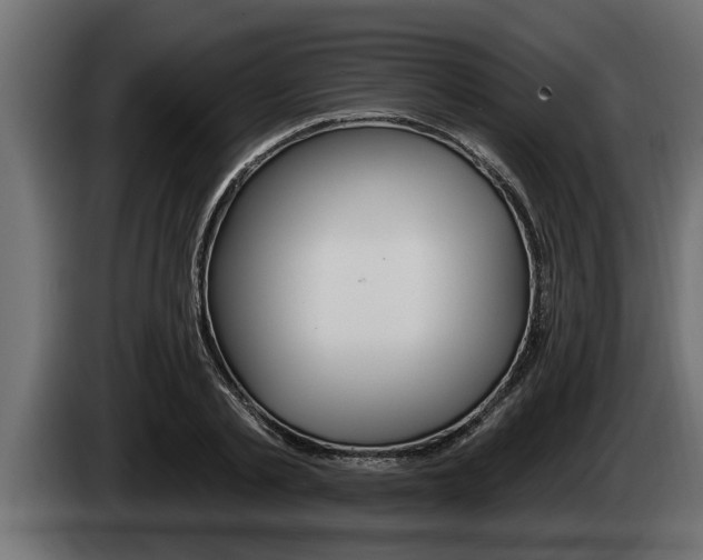 X0000085080789200703051107