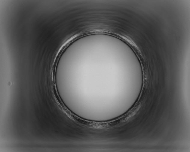 X0000085080790200703051107