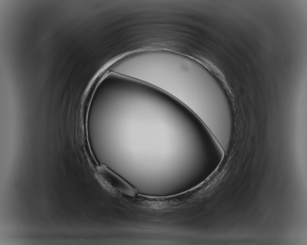 X0000085080792200703051107